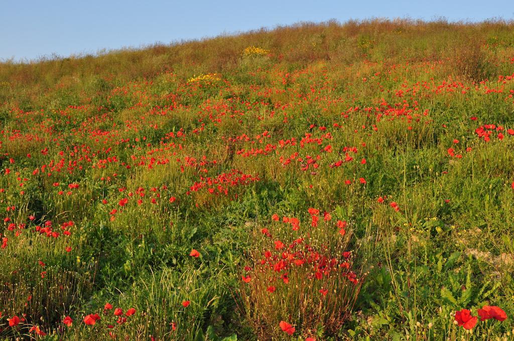 체르탈도 Agriturismo Il Torrione 빌라 외부 사진