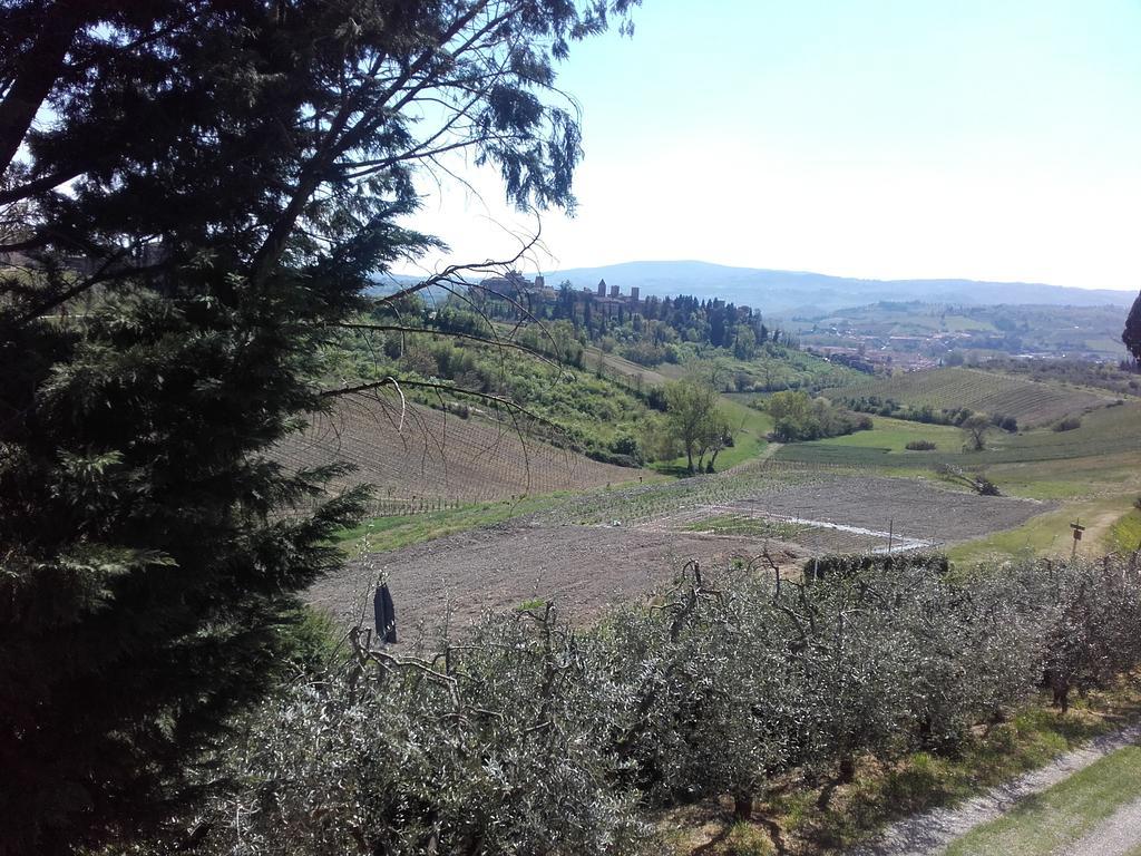 Agriturismo Il Torrione 체르탈도 외부 사진