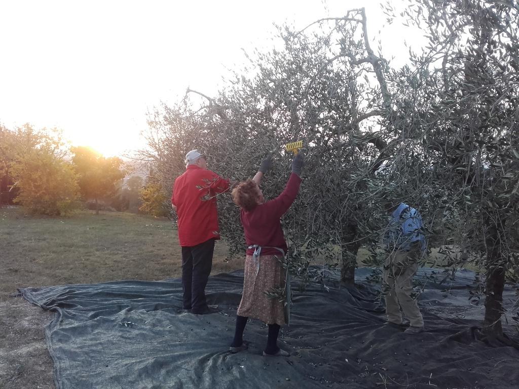 Agriturismo Il Torrione 체르탈도 외부 사진