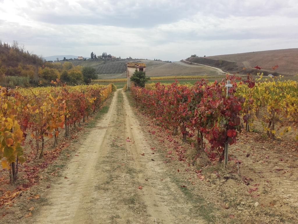 체르탈도 Agriturismo Il Torrione 빌라 외부 사진