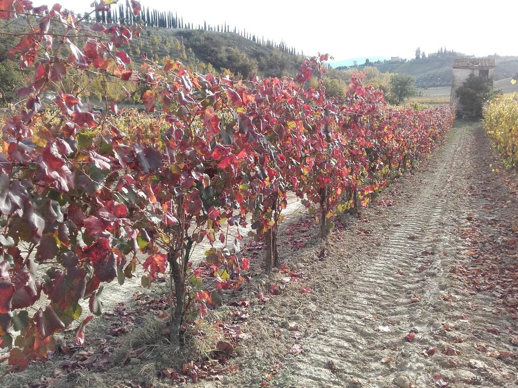 Agriturismo Il Torrione 체르탈도 외부 사진